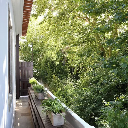 Casa Da Estefanea 게스트하우스 4*